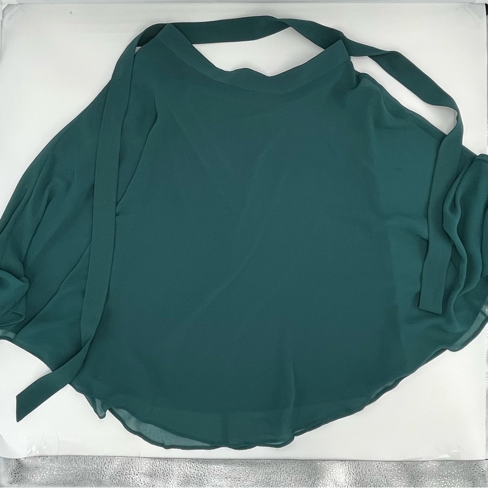 Ann Tayler green circle/round skirt.